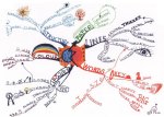 The laws-of-mind-mapping-mindmap