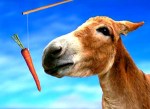 Donkey carrot and stick