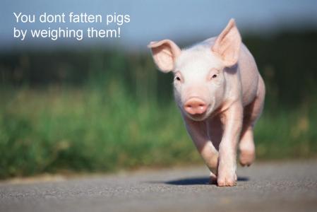 You dont fatten pigs 2
